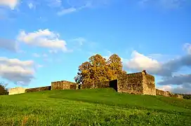 Fort d'Irgenhausen (de) (Suisse).