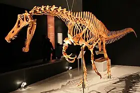 Irritator challengeri