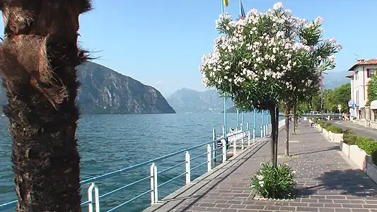 Promenade "lungolago" (2008)