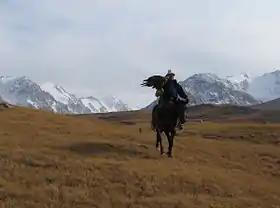 photographie d'un cavalier, aigle à la main, avec les montagnes en arrière-plan
