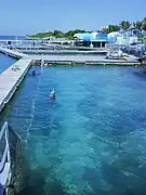 Bassins des dauphins du parc Dolphin Discovery Islas Mujeres.