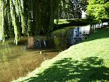 Canards barbotant dans l'Iton.