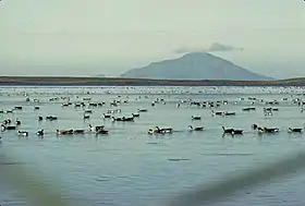 Vue de l'île Amak avec son volcan, l'Amak.