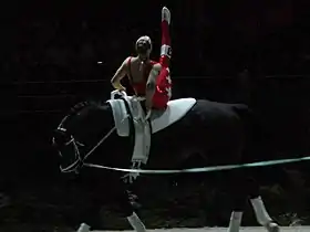 Image illustrative de l’article Elisabeth Bieri