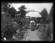 Jardin en juin 1896.