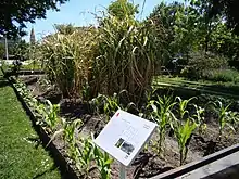 Le jardin de la mémoire, au jardin botanique.