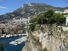 Vue sur Fontvieille.