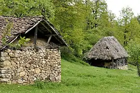 Jasenovik (Novo Brdo)