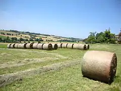 Campagne environnante en juin 2010.