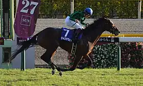 Image illustrative de l’article Just A Way