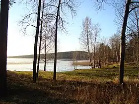 Image illustrative de l’article Runn