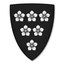 Image illustrative de l'article Simon Fraser (chevalier)