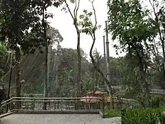 Vue d'ensemble de la volière d'immersion.