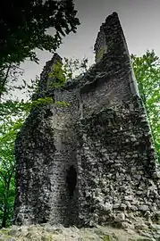 Ruines du château.