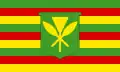 Drapeau des Polynésiens d'Hawaï