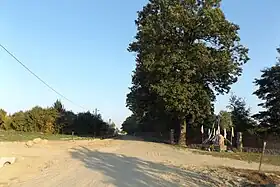 Nieborzyn (Płońsk)