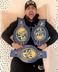 Image illustrative de l’article Karim Guerfi