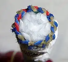 Vue en coupe d'une corde dynamique fabriquée par Sterling Rope