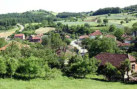 Komorane (Rekovac)