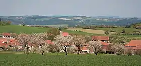 Kuřimská Nová Ves