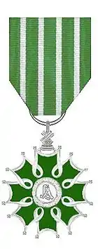 Officier de l’Ordre des arts et des lettres depuis 2007