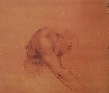 Dessin à la sanguine représentant le torse et le bras droit d'un enfant.