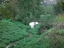 La Luce à Domart-sur-la-Luce.