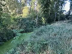 La Rize juste après la bifurcation des Terres Noires.