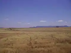 Paysage de La Serena (es).