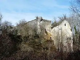 Les ruines du château de Jovelle.