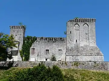 Le château de la Tour-Blanche.