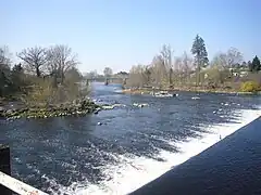La Vienne vue vers l'aval du pont.