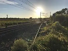 Image illustrative de l’article Ligne de Mas-des-Gardies aux Mazes-le-Crès