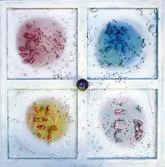 La Fenêtre sur les quatre vertus