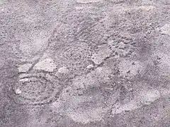 Gravure rupestre, parc national de la Lopé, Gabon