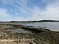 Anciens parcs à huîtres le long de la Rivière d'Auray près du lieu-dit Le Berly.