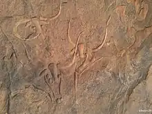 Gravure pariétale dite de « la vache qui pleure », vallée de Mathendous : peut-être les ancêtres du bétail watusi.