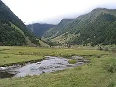 Tourbière en amont du lac d'Estaing.