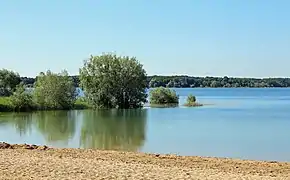 Une plage du lac d'Orient dans l'est.