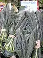 Kale noir, semblable au traditionnel Nero di Toscana.