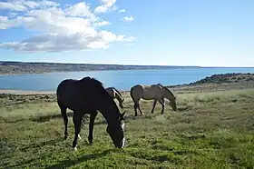 Image illustrative de l’article Lac Strobel