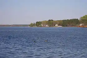 Image illustrative de l’article Lac Gaston