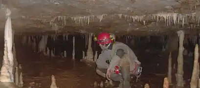 Au repos dans un confortable laminoir.