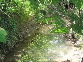 petit ruisseau du bout du monde que le soleil inonde de ses rayons dorés.