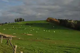 Paysage de Fraiture (Sprimont)