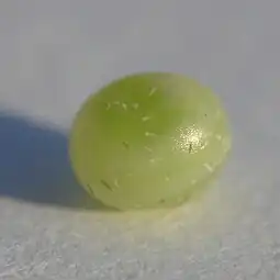 Œuf
