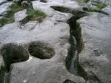 (gros plan) Loulle dans le Jura, en France.