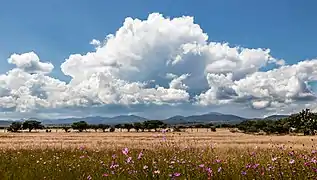 Paysage mexicain.