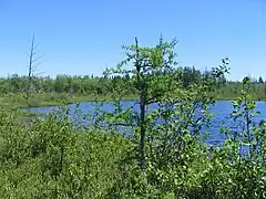 Lac à la Barbotte, source du ruisseau Gendron, Laurentides, accès par la Route des Prairies