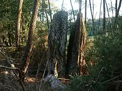 Menhirs de la Lande de Parsac